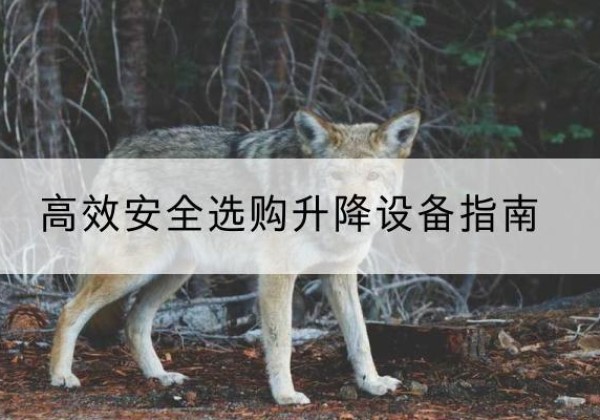 建德升降货梯厂家推荐-*安全选购升降设备指南