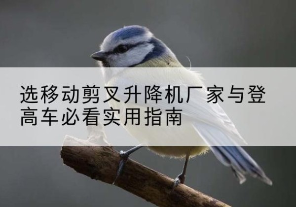 建德电动升降机厂家-选移动剪叉升降机厂家与登高车必看实用指南